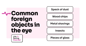 Common objects include a speck of dust, a wood chip, a metal shaving, an insect, or a piece of glass.