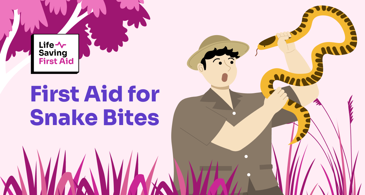 First Aid for Snake Bites